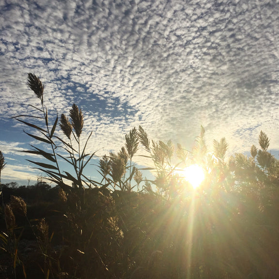 Vibrate Higher - Stay connected to the Light!
